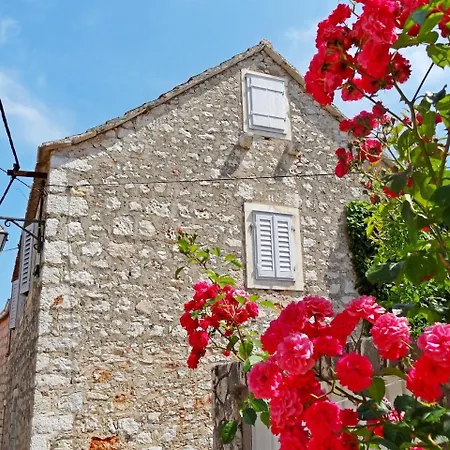 House Lara Holiday home Vrboska